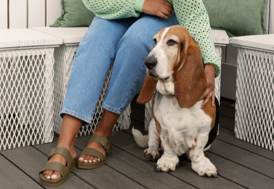 Hush Puppies offer background image