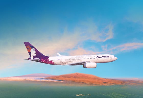 Hawaiian Airlines offer background image