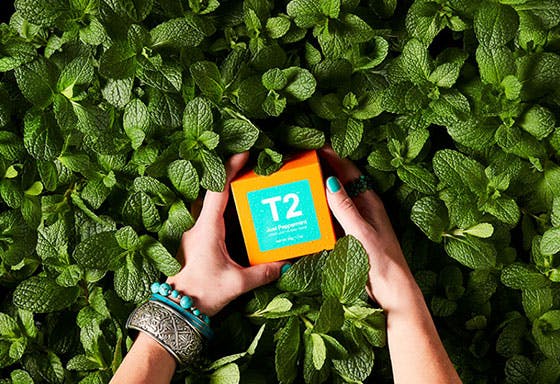 T2 Tea offer background image