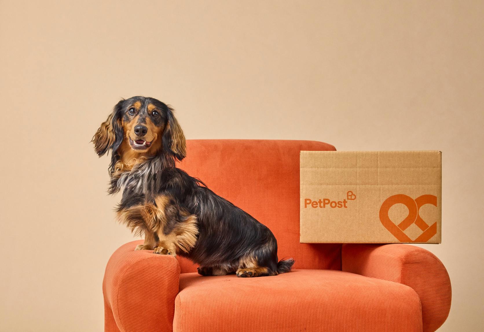 PetPost offer background image