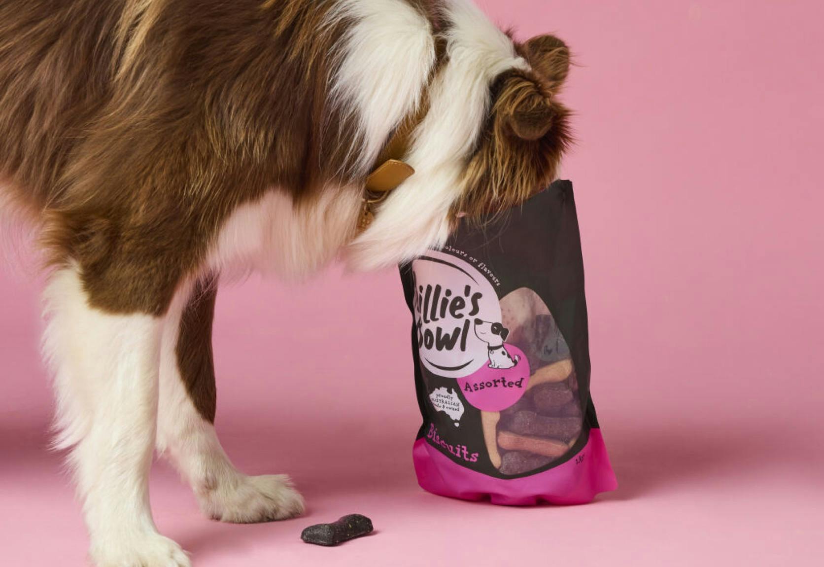 PetPost offer background image